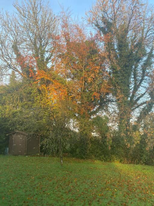 The Lodge-Cozy And Serene Home Cavan Bagian luar foto